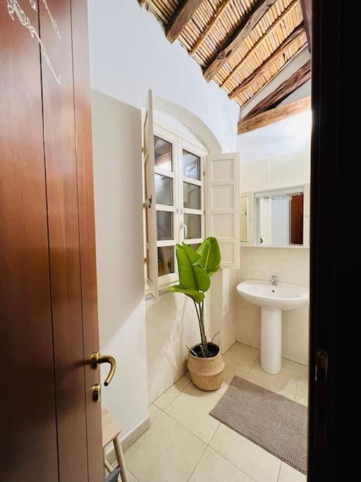 Castello Attic Sunset Terrace Apartment Каляри Екстериор снимка